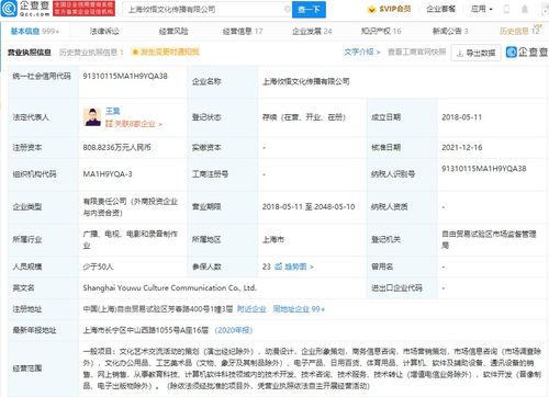 商務信息咨詢的價值與應用